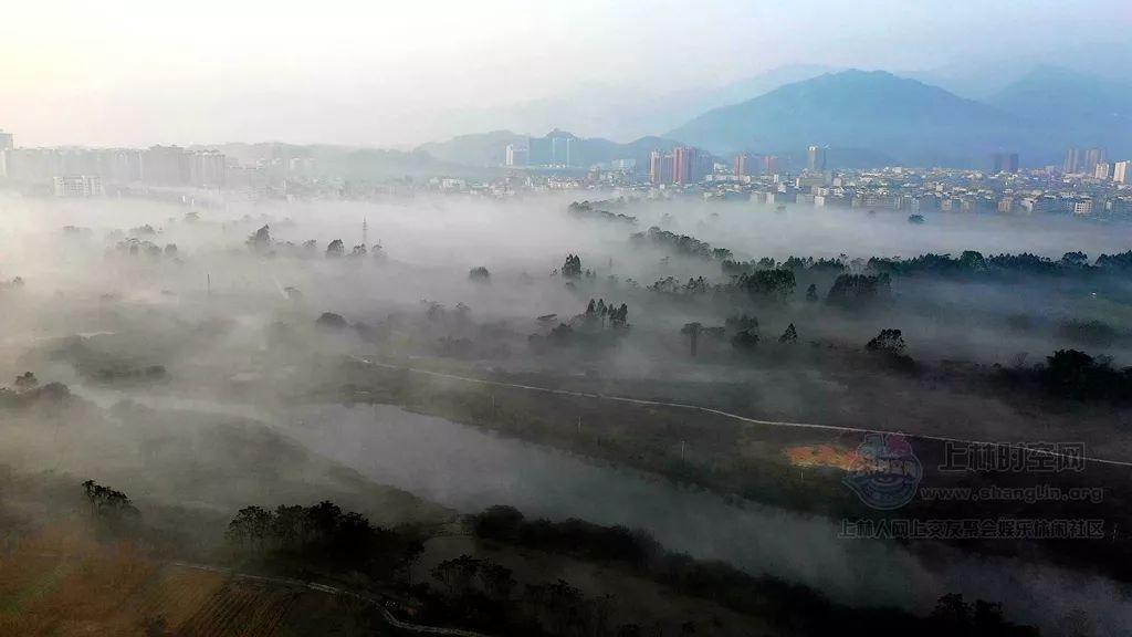龙腾世纪审判