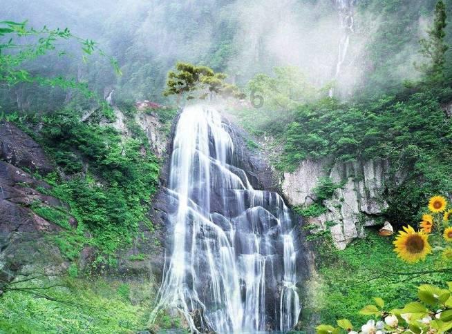 救援水管工