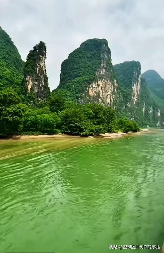 县人大机关党支部召开主题教育专题组织生活会暨民主评议党员会议
