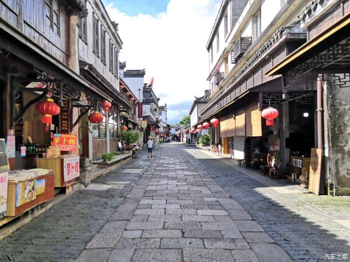 动物帮帮忙保卫家园